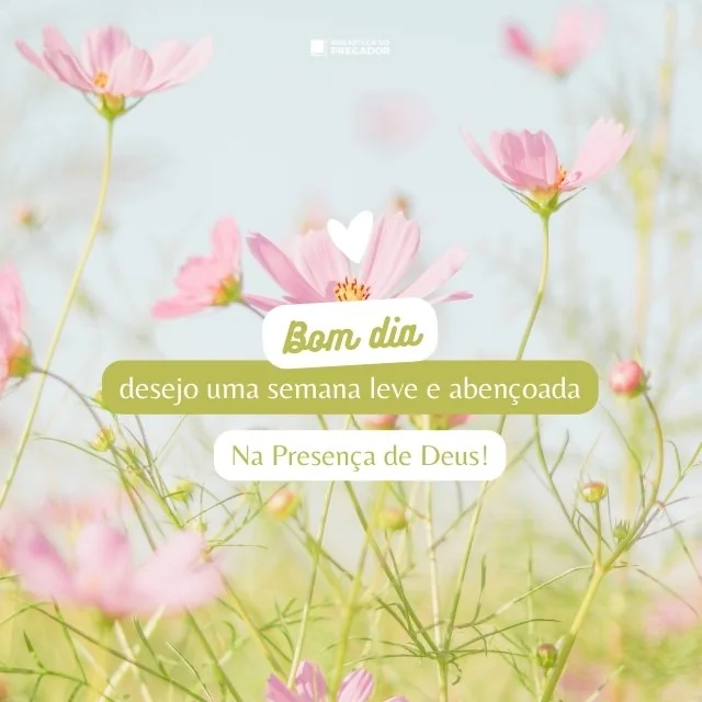 Mensagem de bom dia com flores e desejo de semana leve e abençoada
