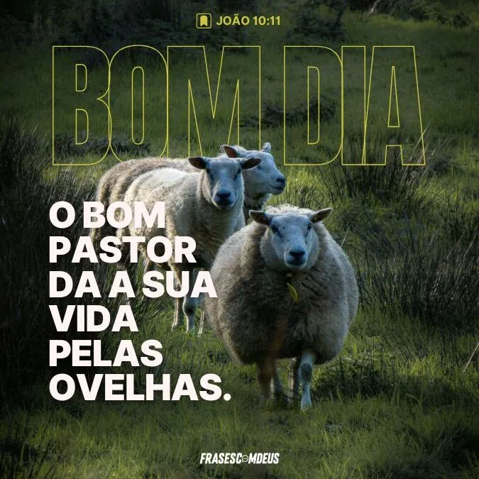 Bom dia abençoado imagem de pastor da vida pelas ovelhas