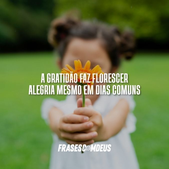 frase de gratidão