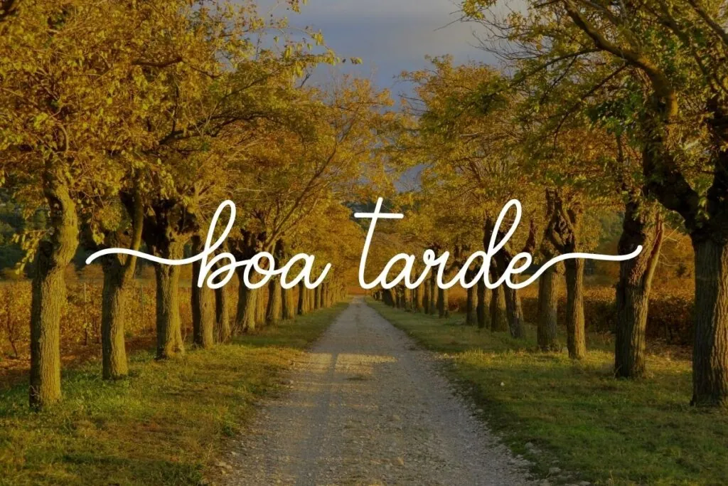 Boa tarde abençoada por Deus