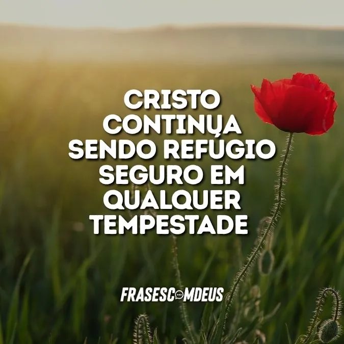 Bom dia com Cristo