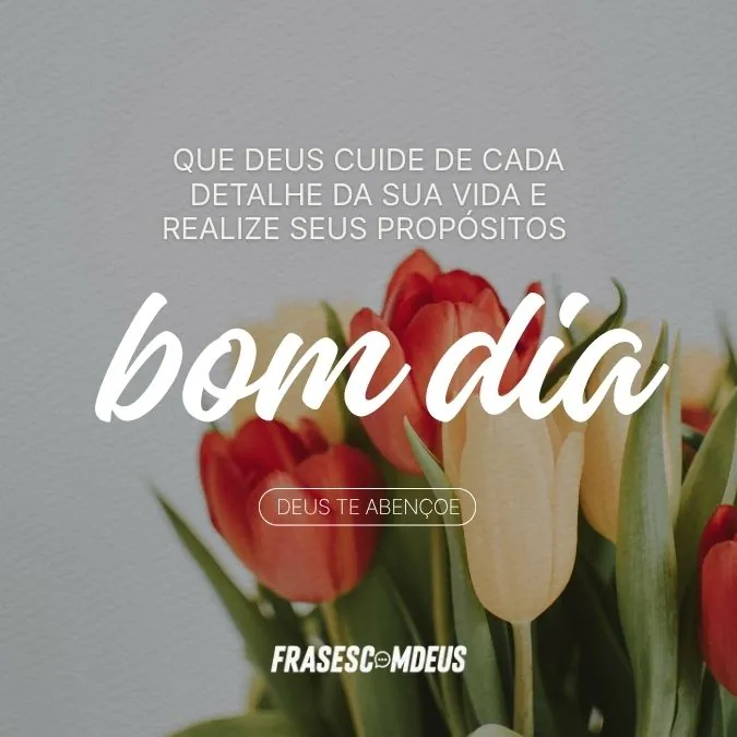 Bom dia que Deus te abençoe