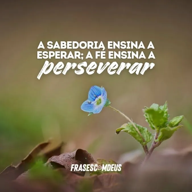 Frases de fé e sabedoria