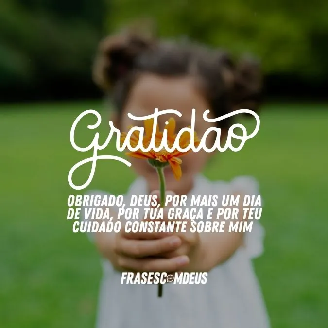 Frases de gratidão