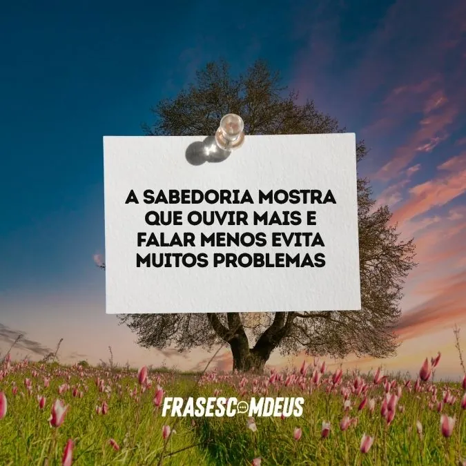 Frases de sabedoria