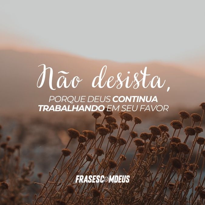 Mensagem Não desista