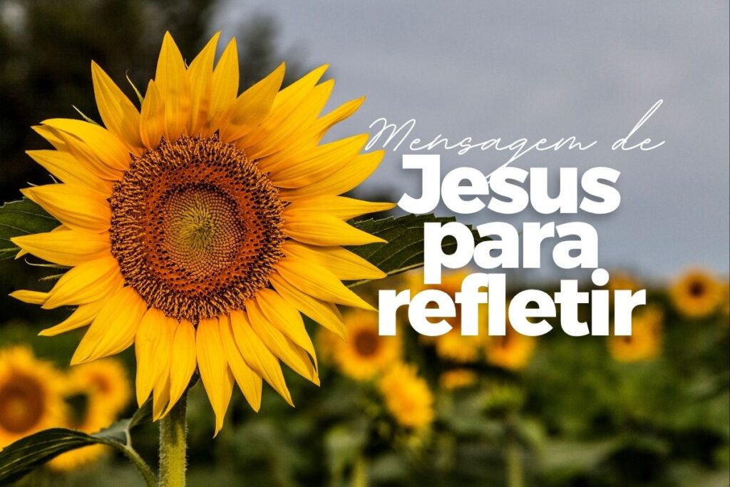 Mensagem de Jesus para refletir