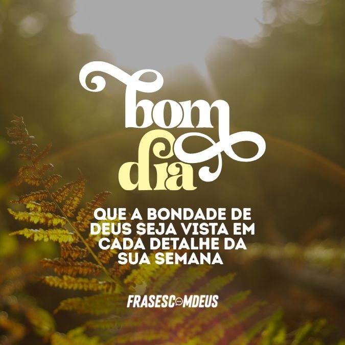frase de Bom dia
