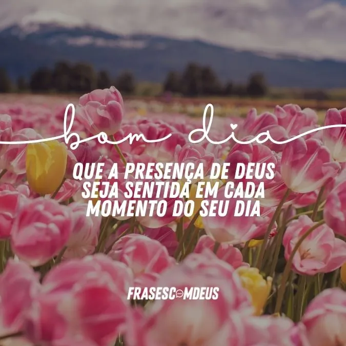 frase de bom dia domingo