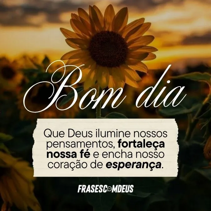 frases de bom dia para compartilhar em grupos de família
