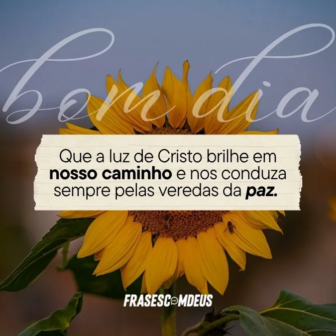 frases evangelicas de bom dia