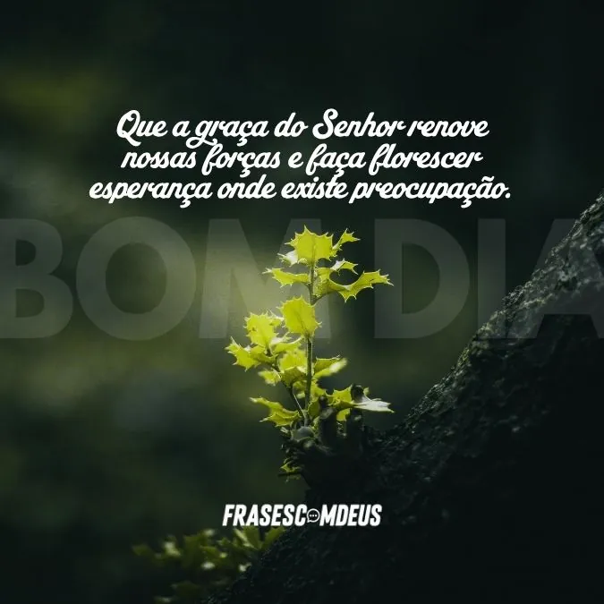 frases lindas de bom dia para compartilhar em grupo