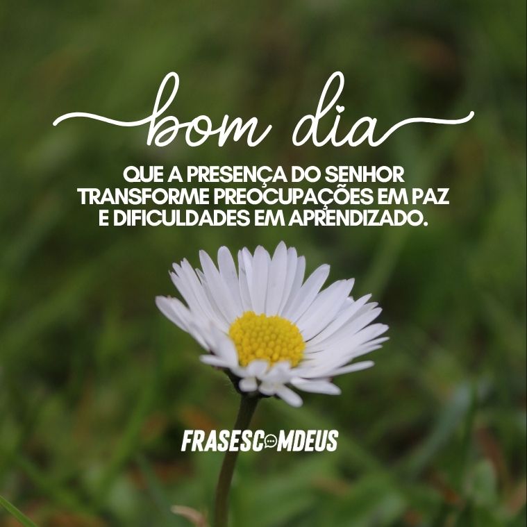 frases para desejar bom dia com a presença de Deus