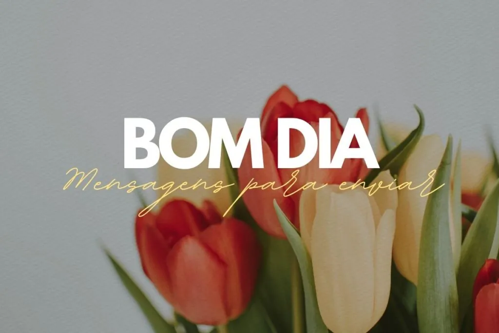 Bom dia que Deus te abençoe hoje e sempre