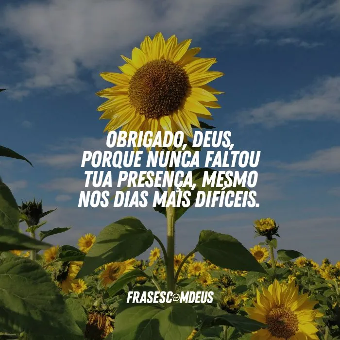 Frases de gratidão a Deus para compartilhar