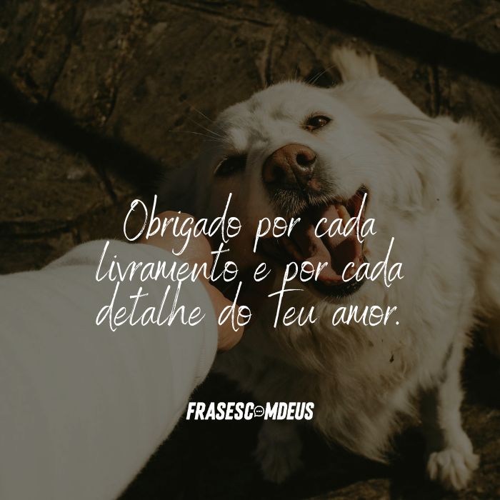 frase de Boa noite com gratidão