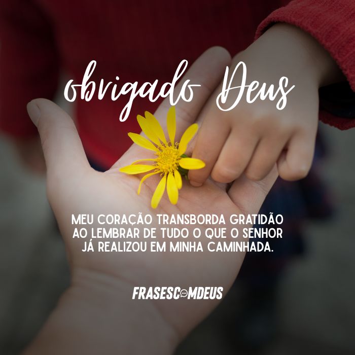 frase de gratidão a Deus para compartilhar