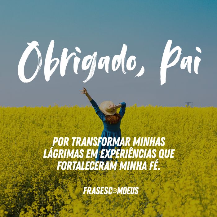 frases de gratidão para compartilhar
