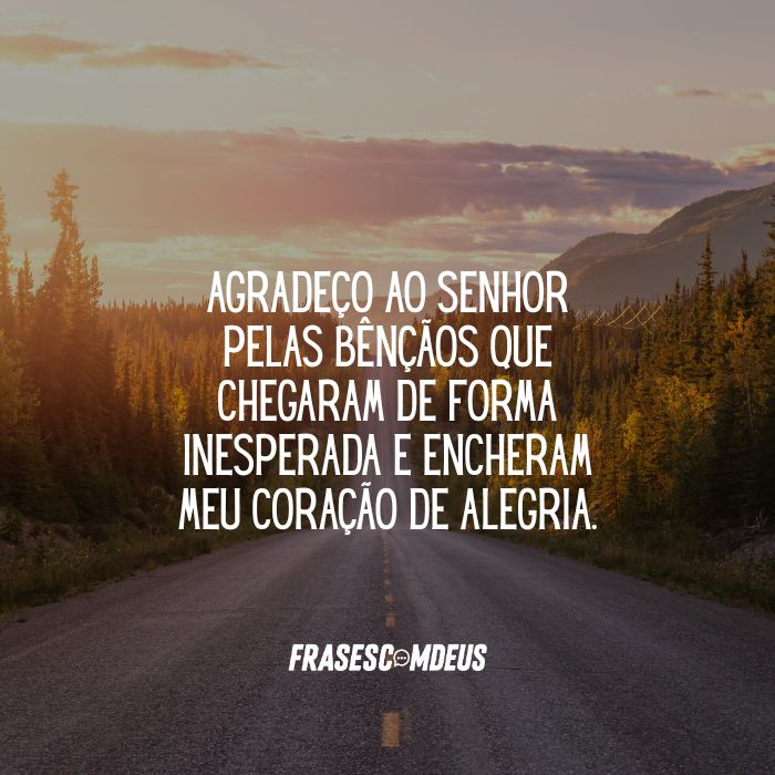 frases de gratidão para hoje