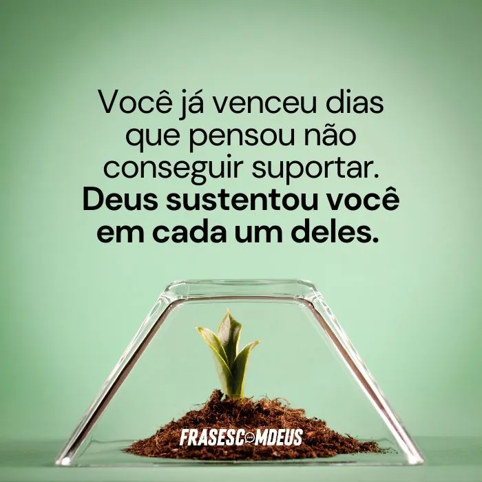 frases para compartilhar