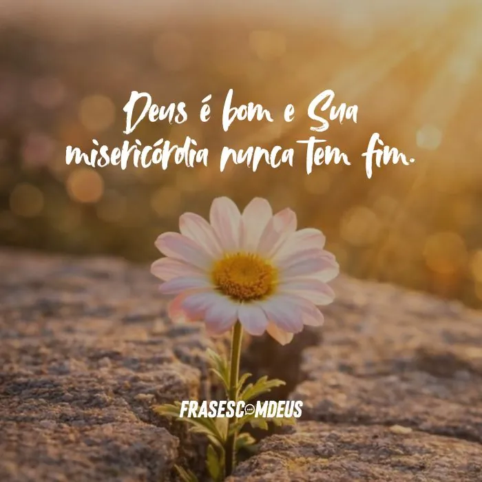 frases para compartilhar