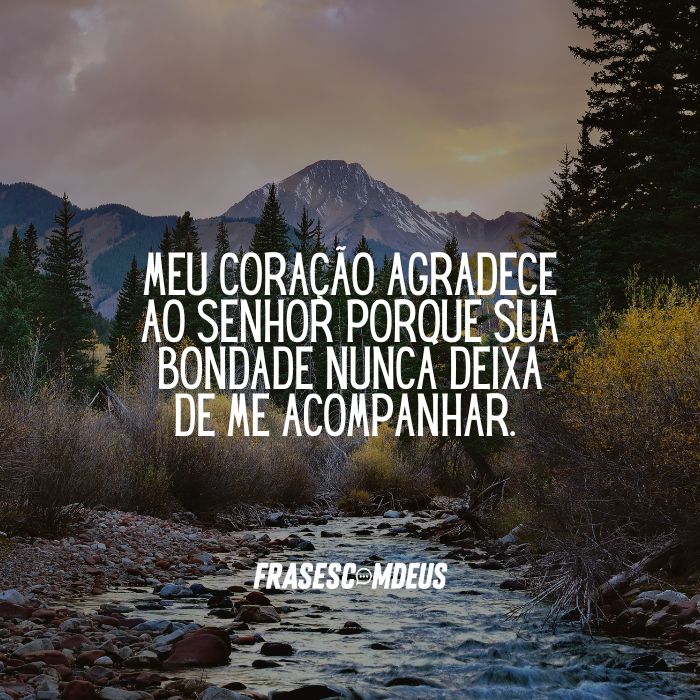 mensagem de Boa noite com gratidão