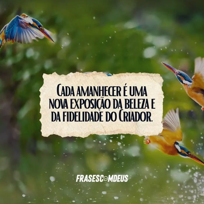Frases sobre a criação de Deus
