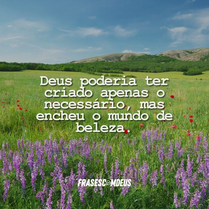 Frases sobre a perfeição das flores