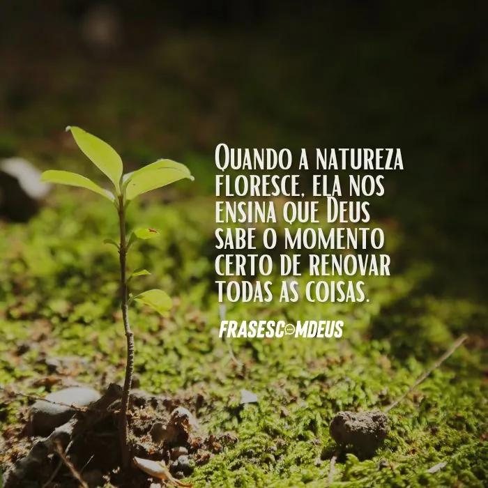 Frases sobre a perfeição de Deus