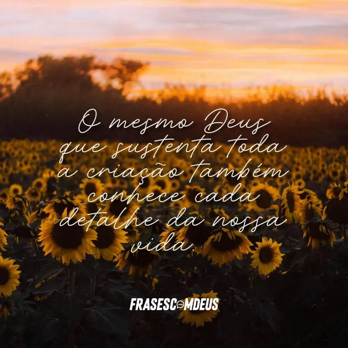 Frases sobre a perfeição de natureza