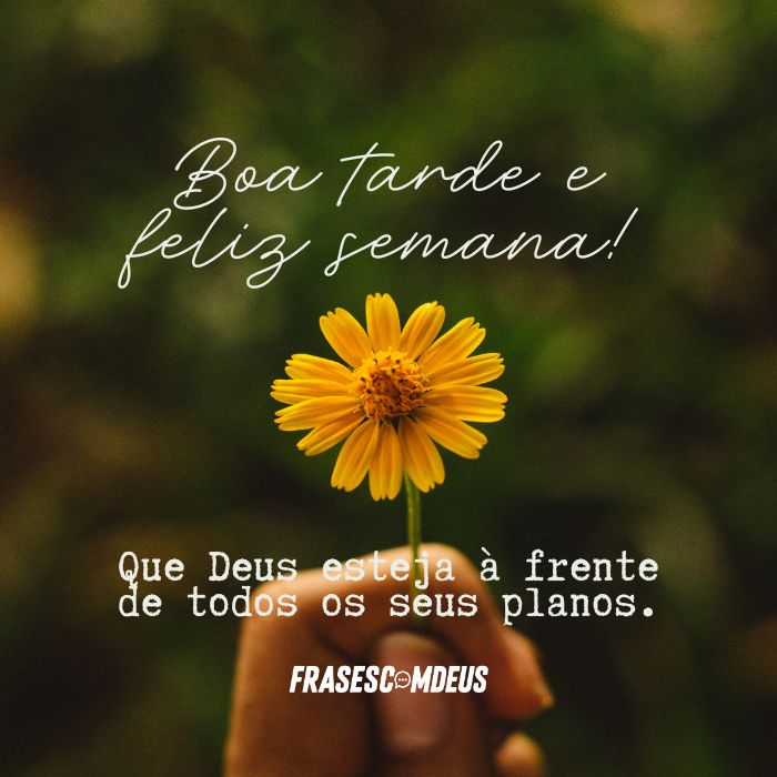 Mensagens para Desejar uma Boa Tarde e Feliz Semana