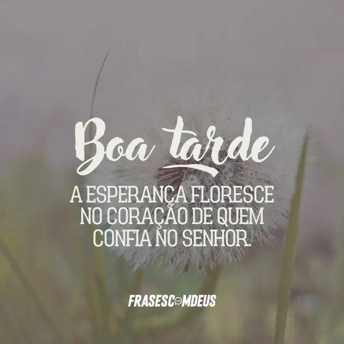 frase de Boa Tarde para WhatsApp