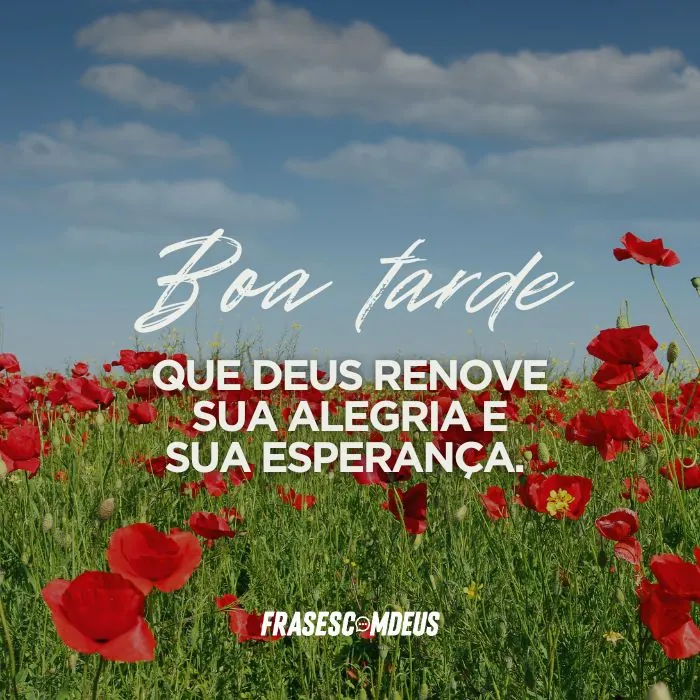frases de Boa Tarde para whats