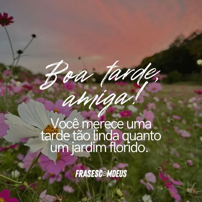 frases de Boa tarde amiga para compartilhar