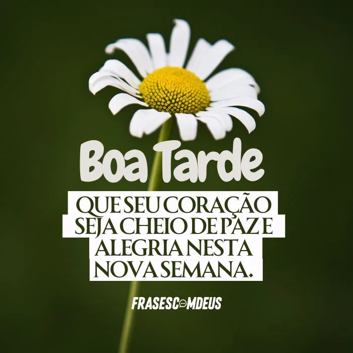 frases para Boa Tarde
