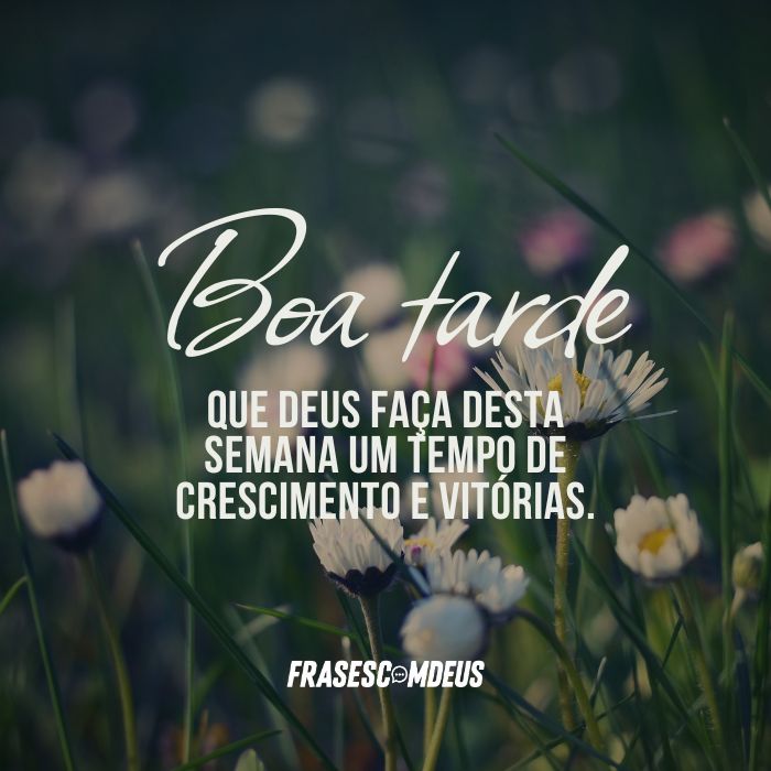 frases para Desejar uma Boa Tarde para compartilhar