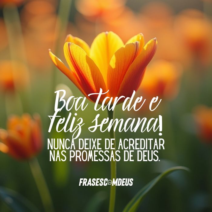 mensagens para Feliz Semana