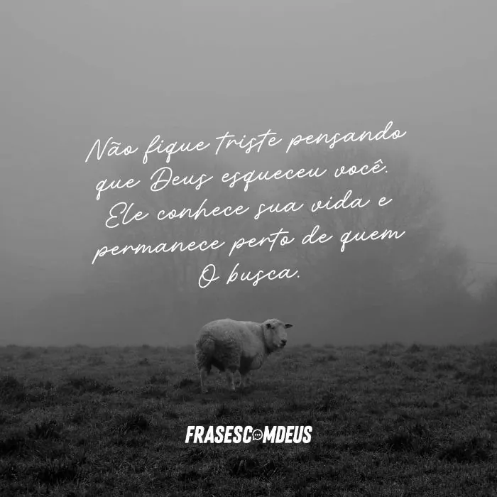 frase Não fique triste
